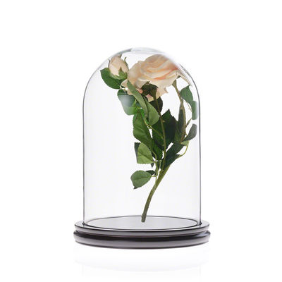 Copertura di vetro conservata della campana di vetro di Homeware dell'esposizione di Rosa con la base di legno nera fornitore