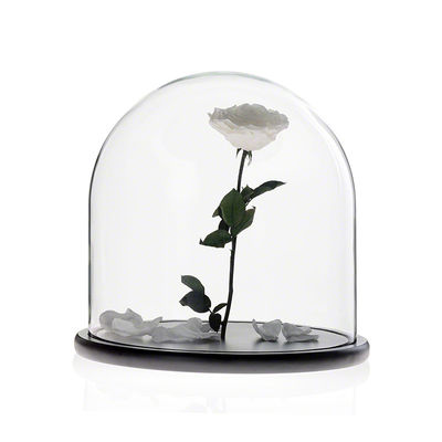 Campana di vetro di vetro fatta a mano della cupola della scatola di presentazione di H30cm x di D30 grande con la base di legno fornitore