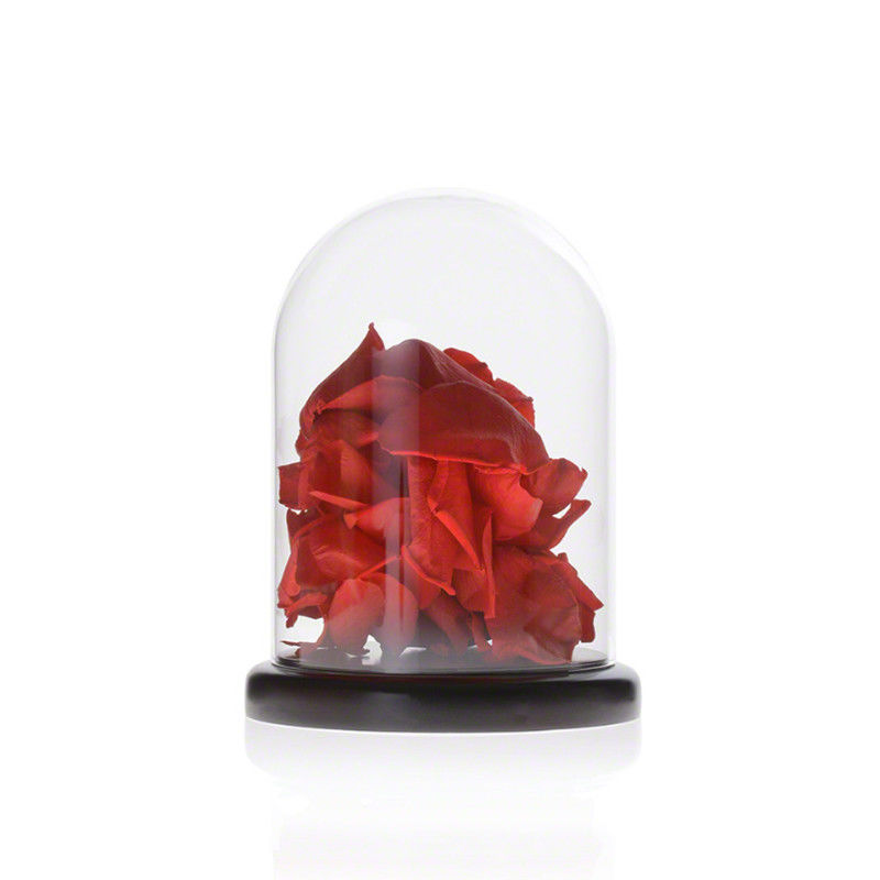 Cupola di vetro della campana di vetro di pollice fatto a mano del borosilicato D3.94xH6.3 fornitore