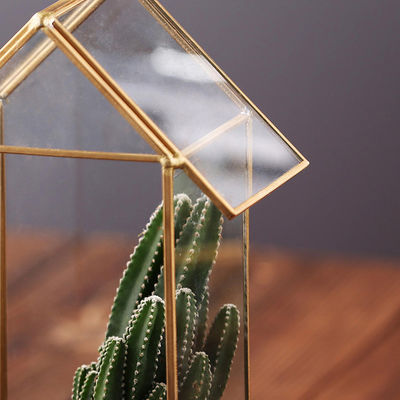 Terrario succulente geometrico a forma di della Camera, contenitore della pianta di aria del supporto dei gioielli fornitore