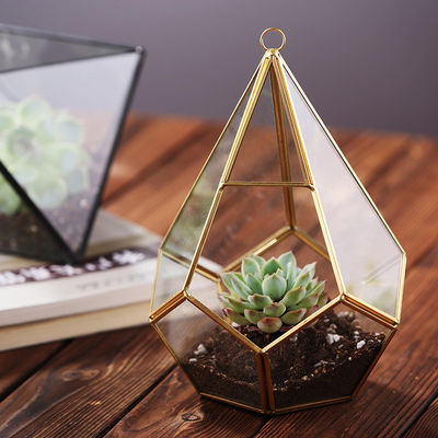 Terrario di vetro geometrico d'attaccatura di Homeware del fiore della pianta dell'oro succulente di vetro del nero fornitore