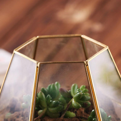 Vaso geometrico di vetro dell'esposizione del fiore di terrario DIY di Homeware della decorazione da tavolo moderna fornitore
