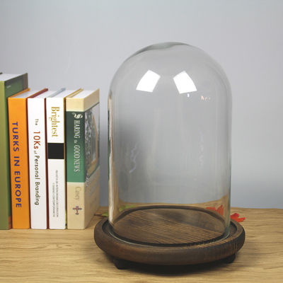 Campana di vetro di legno dell'esposizione della cupola del vetro borosilicato della base D20*H40cm fornitore